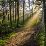 RuralHike