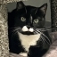 Mr_Write