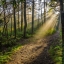 RuralHiking