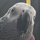 photo thumbnail