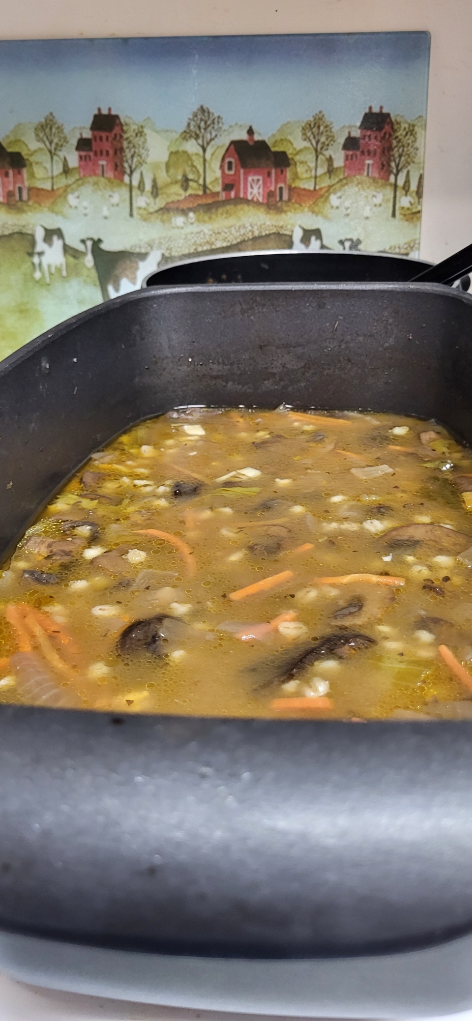 Sunday dinner. Mushroom barley soup and homemade