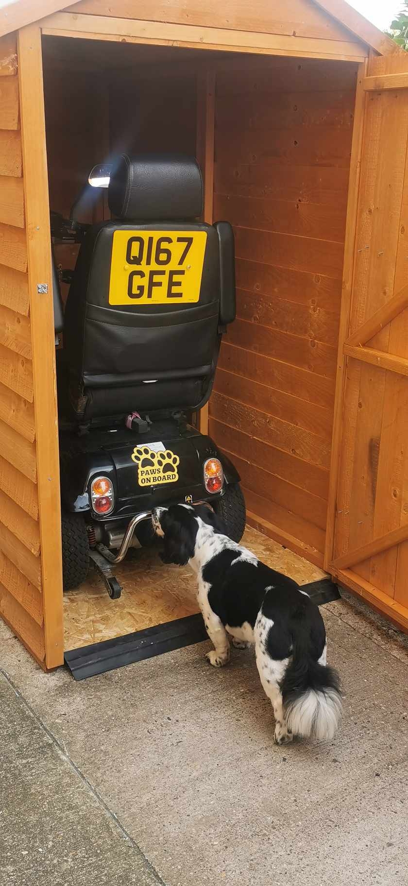 Finn says it passes inspection..."when we going out on it?"...."Lets ride baby"