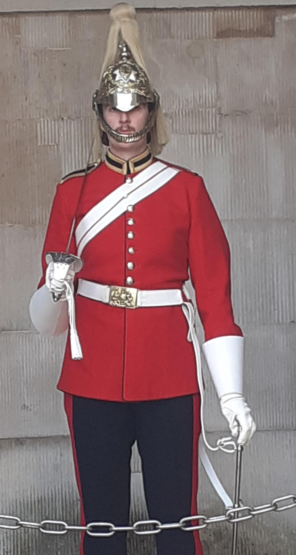 Day out in London black Swan, pelican,Two guardsman at horse guards parade Proud to be British.