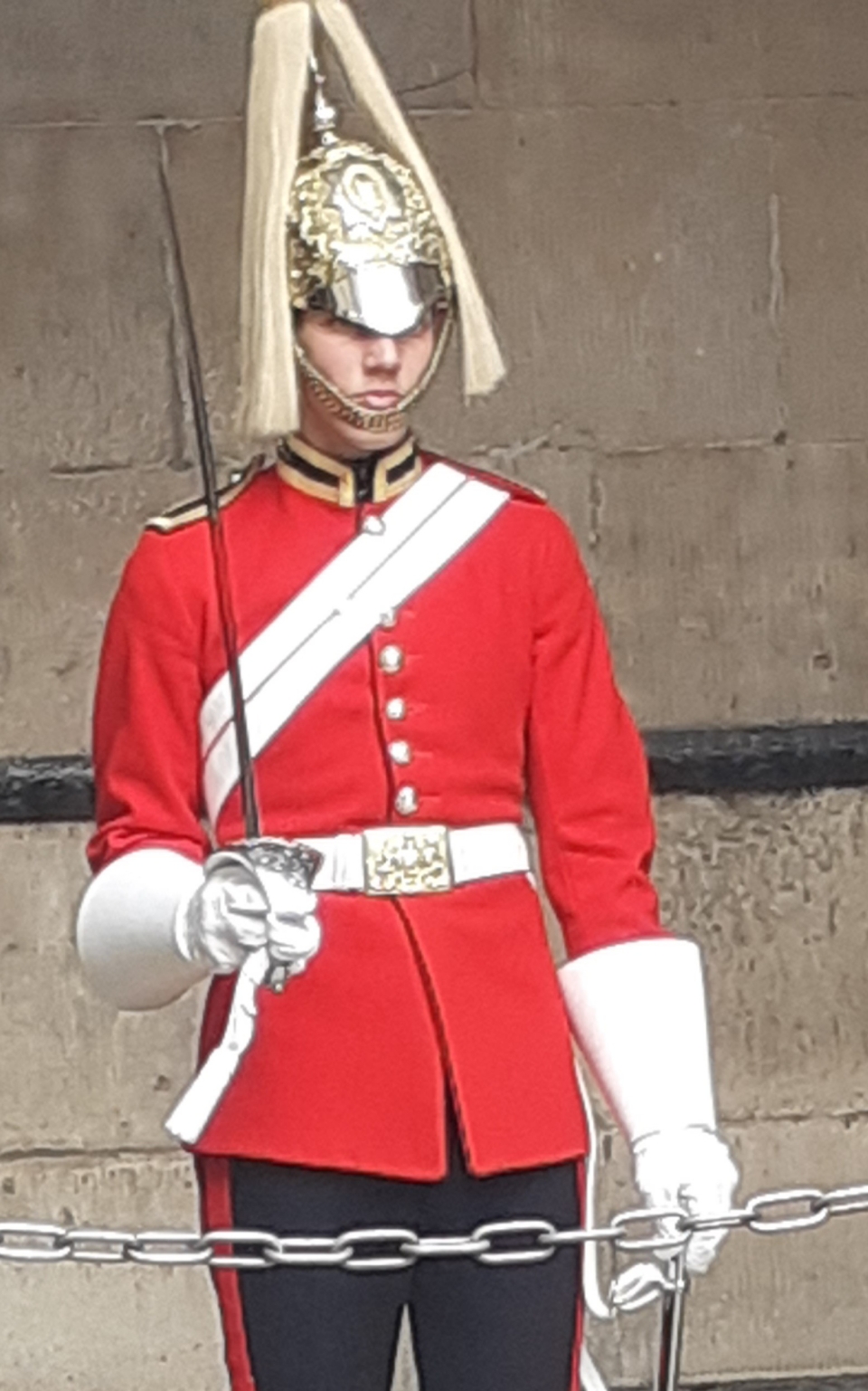 Day out in London black Swan, pelican,Two guardsman at horse guards parade Proud to be British.