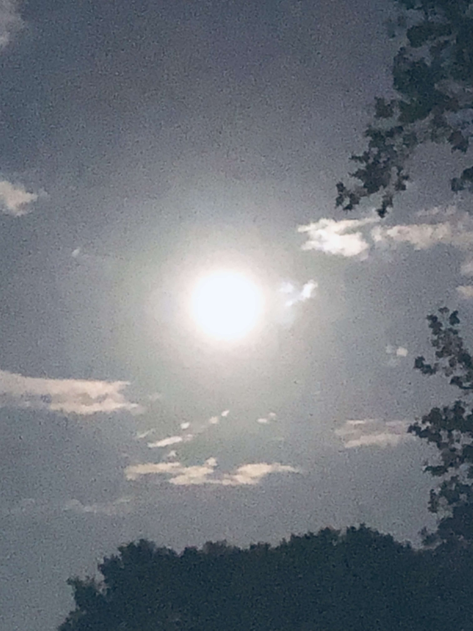 JUSt HAD TO SHARE THIS   I took this in the evening of a day that it had rained then cleared up. its the moon. at 9;30 pm. central time.