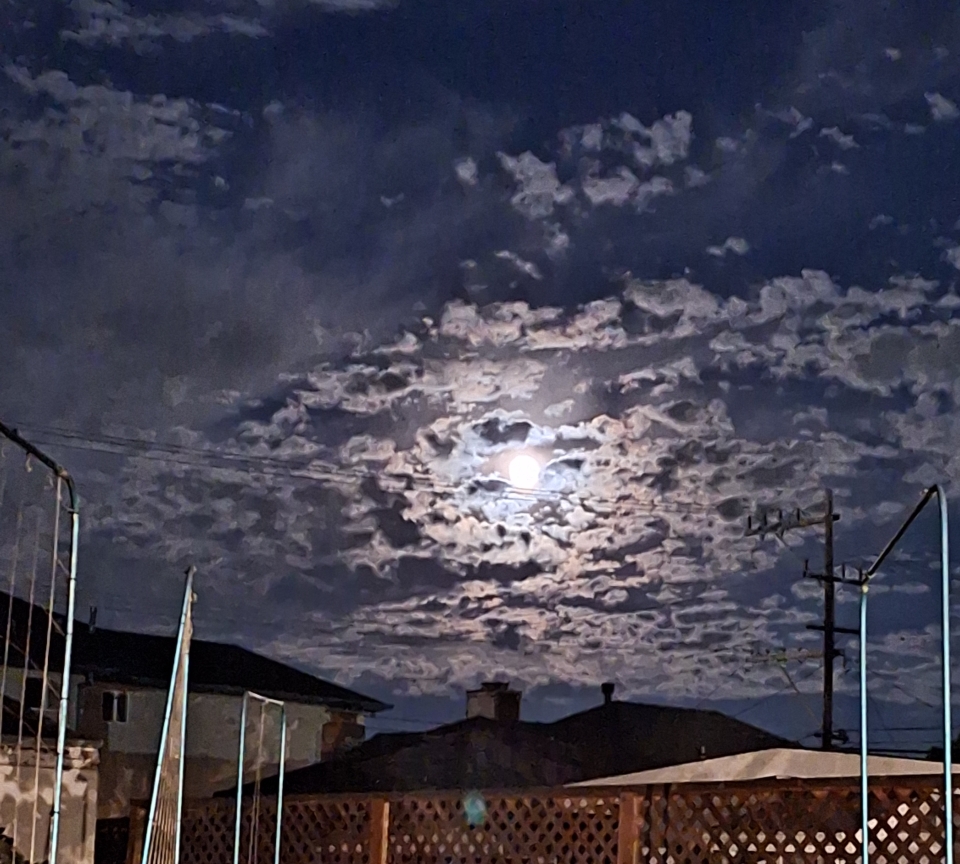 The moon was dramatic last night.