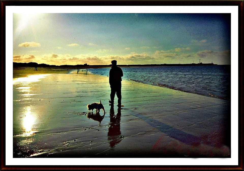 'One Man and His Dog'