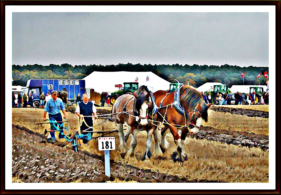 'World Ploughing Championships. Crockey Hall, England (Done in watercolour)