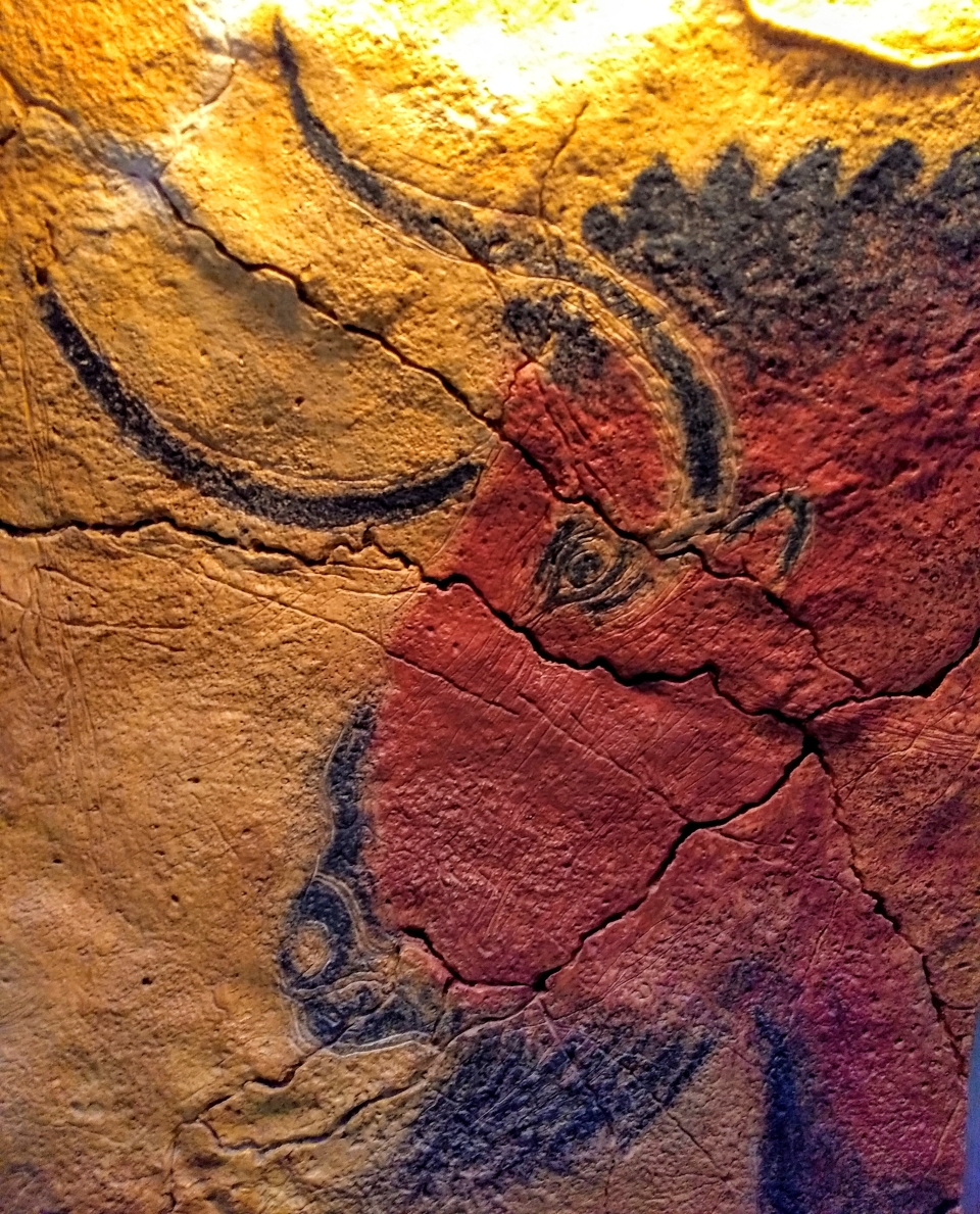 From my visit to the Alta Mira caves In Northern Spain