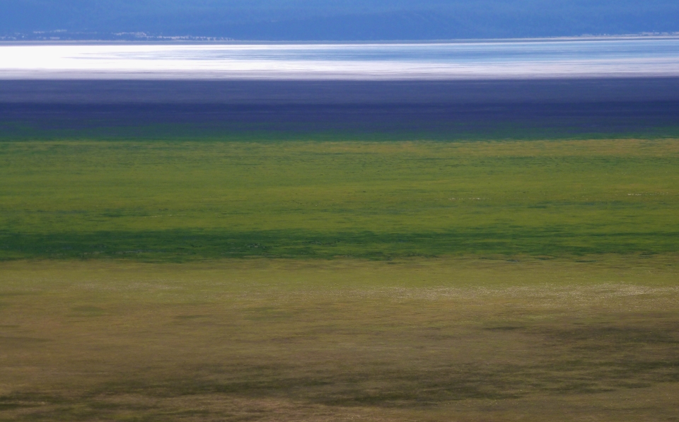 Pasture to lake...