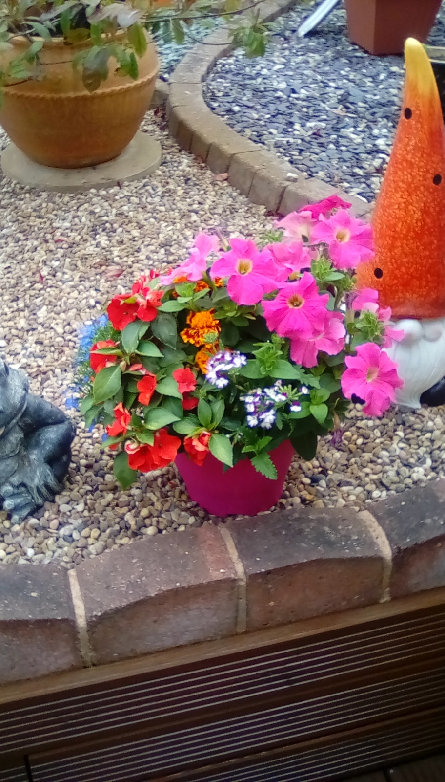This is in my garden pretty dont you think allFrom astral