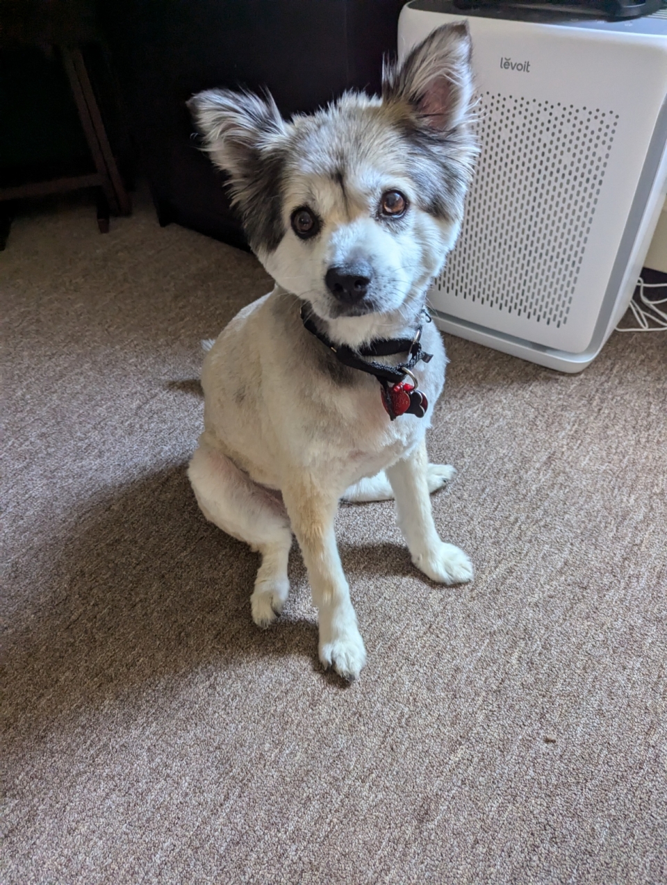 this my 15 year old lady