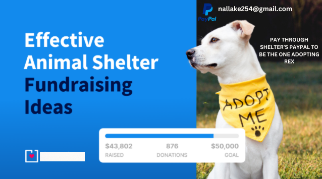 Hey thank you for last year, feel free to be part of our success in this year's fundraiser!