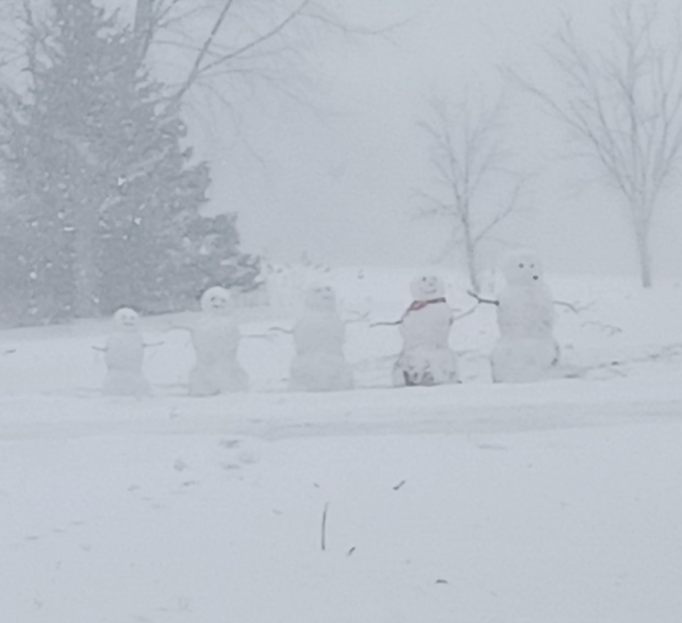 A snow family grew overnight next door,