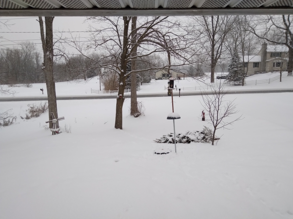 More snow for February 9th !