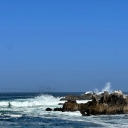 sta monica beach