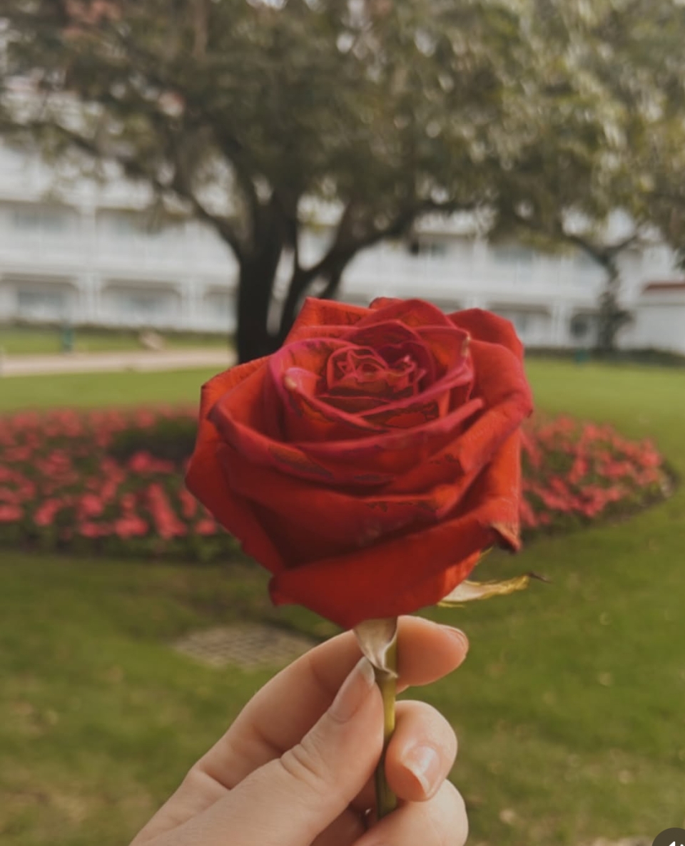 I am the lullaby and the morning cheer,The gentle hand, the voice they hear.Through every tear, through every fall,I’ve learned to dance, to stand tall